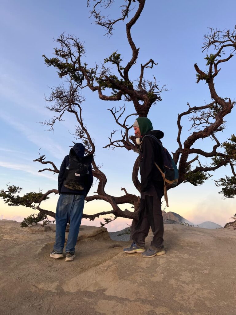 WhatsApp Image 2025-09-05 at 16.52.35 (1)