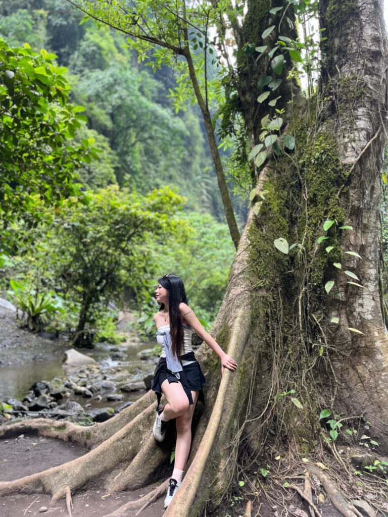 WhatsApp Image 2025-09-05 at 16.52.42