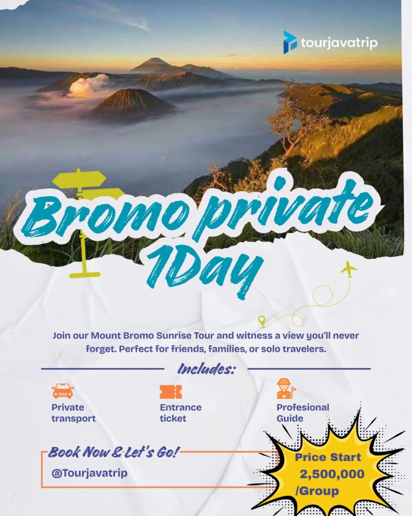 WhatsApp Image 2026-02-15 at 06.33.51